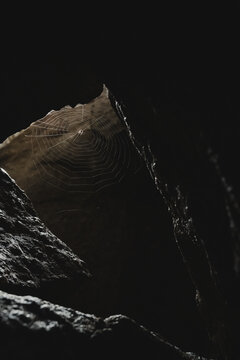 Spiders Web
