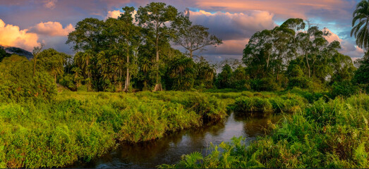 Golden Hour at a Serene Tropical River Landscape with Lush Vegetation and Dramatic Skyscape
