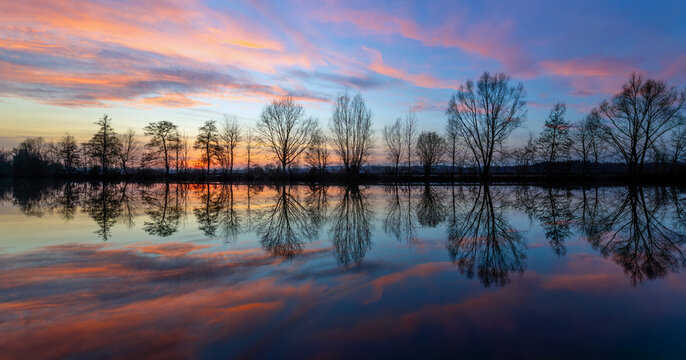 Colorful sunset panorama at Ruhr river near Iserlohn and Schwerte. Row of bare tree silhouettes with perfect reflection in calm water surface on a winters evening with pink clouds. Romantic atmosphere