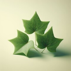 green leaf on green background
