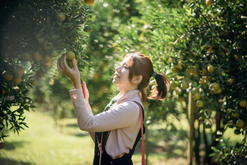 A happy woman farmer is working in orchard or orange farm.