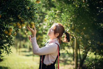 A happy woman farmer is working in orchard or orange farm.