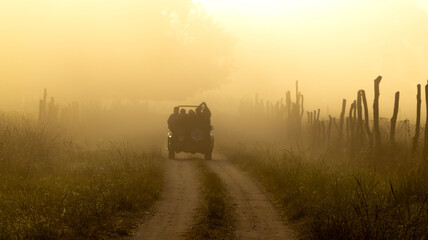 Fototapeta premium misty morning in the field