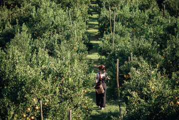 A happy woman farmer walking in orchard or orange farm.