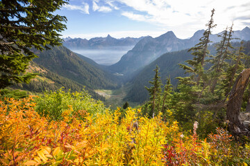 Autumn in mountains