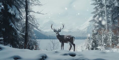 deer in the snow, snow wilderness sony alpha cinematic