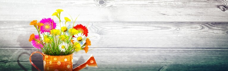 Colorful wild flower bouquet in a watering can. Concept of spring and gardening.