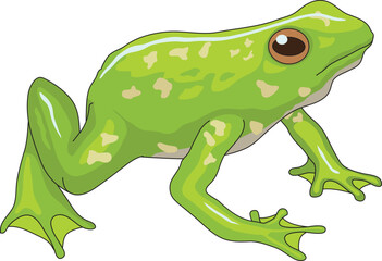 Cute green frog looking curiously