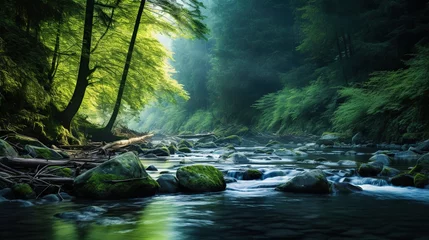 Zelfklevend Fotobehang river with mossy rocks in the middle of a tropical forest © nomesart