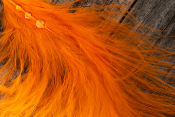 Fluffy orange feather with three water drops on a wooden background.