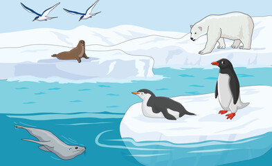 Penguin, whale, walrus, sea gull and polar bear