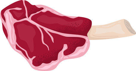 Detailed raw steak vector illustration. Realistic uncooked beef meat with bone graphic.