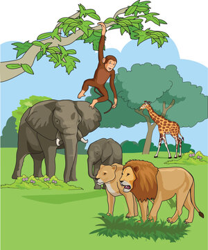 Wild animals such as elephant, monkey, ziraffe and lion