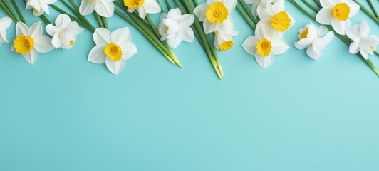 Happy Easter flowers holiday celebration banner greeting card banner panorama - Daffodils narcissus, isolated on blue turquoise paper table texture background, top view