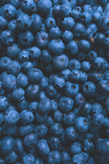 Fresh blueberry background. Texture blueberry berries close up.