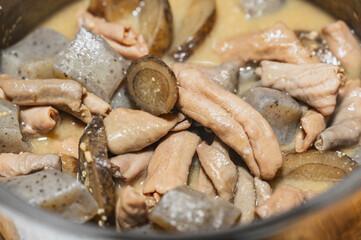 家庭料理　モツ煮込み