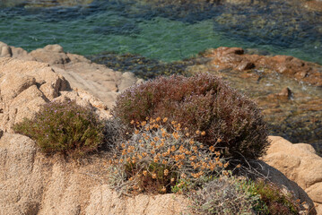 red rocks and blue sea