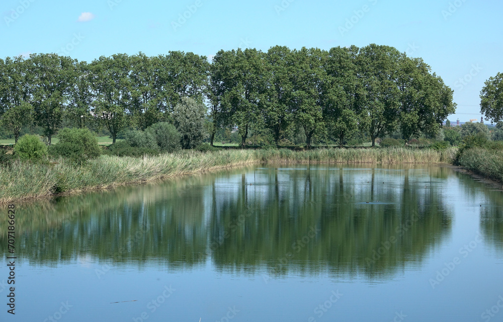 Canvas Prints teich bei niederwalluf