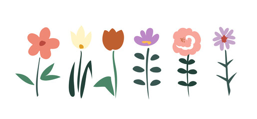 Botanical nature flowers and leaves simple elements  illustration isolated on white background