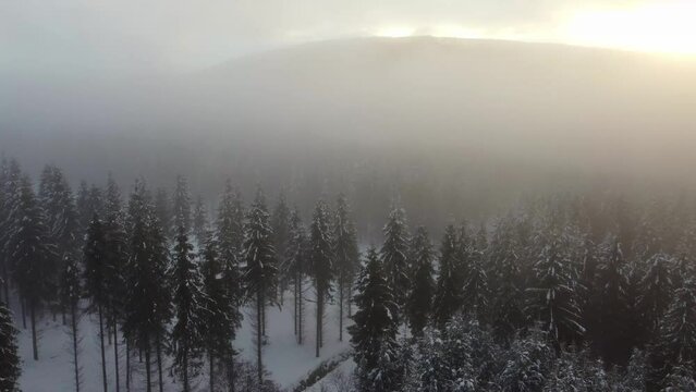 drone shots of winter forest in thick fog, sunset