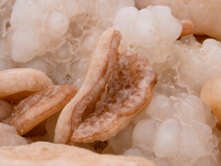 Welcome to the Dead Sea and its historic sites, a salt lake shared between Israel, the West Bank and Jordan