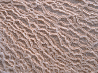 Welcome to the Dead Sea and its historic sites, a salt lake shared between Israel, the West Bank and Jordan