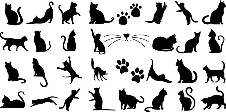 Cat silhouettes in various playful poses, ideal for cats, pet-themed designs, vet clinics advertisements. Perfect for animal stencil, kitty icon, domestic animal pattern, vector art