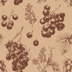 Seamless pattern with hand drawn elements. Vintage illustration of grape vines with leaves and flowers - 707192449
