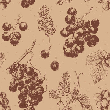 Seamless pattern with hand drawn elements. Vintage illustration of grape vines with leaves and flowers