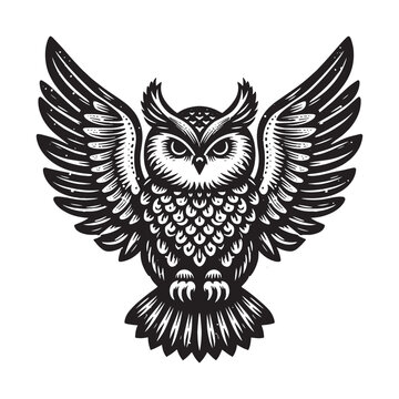 Flying owl. Vintage black engraving illustration. Monochrome vector icon. Isolated and cut	