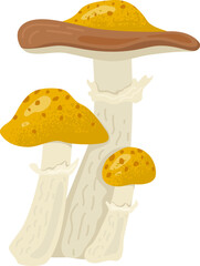 Three cartoon style yellow mushrooms with brown caps, natural fungi illustration. Mushroom picking, autumn forest harvest, vegetation vector illustration.