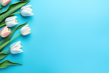 Spring tulip flowers on cyan background top view in flat lay style