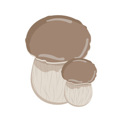 Mushroom, white mushroom in vector