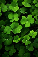 Bright green Clover leaves abstract natural background. three-leaves, shamrocks - symbol of St.Patrick`s day holiday. top view. copy space. template for design