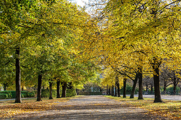 Naklejka premium Walking in Hofgarten Park in Munich on an autumn day, Germany