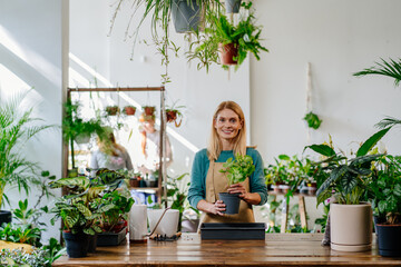 Close up of middle age mature blond woman transplants plants and takes care of flowerpots in greenhouse. The concept of growing plants