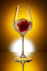 Wine glass with red rose in ice on golden background