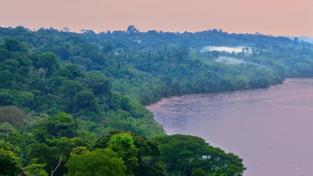 Beautiful landscape of the Amazon rainforest, Yasuni National Park, Ecuador. Next to the Napo River. The place with the most biological diversity in the world South America. ProRes footage.