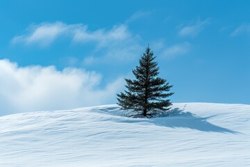 Lonely pine tree standing atop a snowy hill