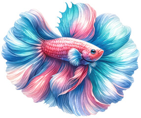 set of watercolor cute Betta fish isolated on transparent background