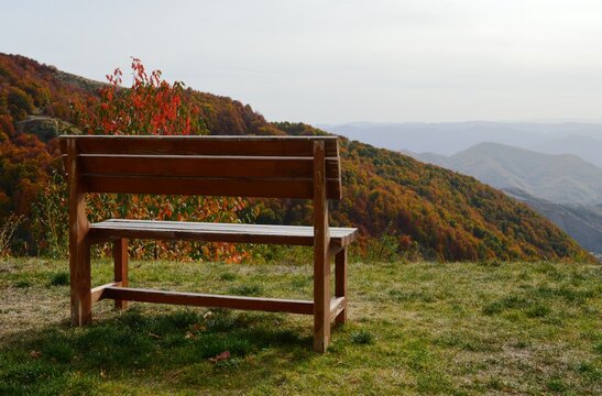 a small wooden bench on the hill