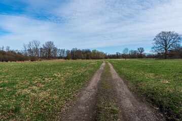 Fototapeta na wymiar Springtime countryside with meadow, trail and trees around near Ostrava city in Czech republic