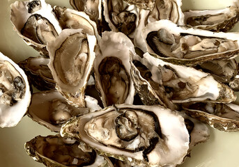 Fresh opened oysters in a plate, ready for served - 707222026