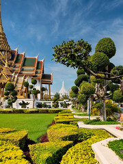Amazing temple in Bangkok, Thailand