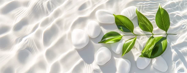 Papier peint photo Toilettes Transparent and clean white water  with white stones, green leaves and sun shadow, top view. abstract spa background concept banner for cosmetic body care.  Nature zen beauty backdrop, mock up  © Viks_jin
