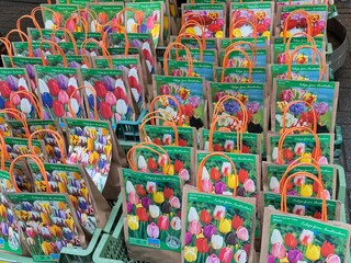 2023-12-18 Amsterdam Tulip Market