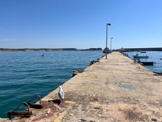 Concrete pier at the ocean, seagulls, clear blue sky