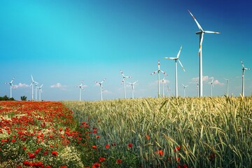 Beautiful farm landscape with wheat field, poppies and chamomile flowers, wind turbines to produce green energy in Germany, Summer, at sunny day and blue sky.