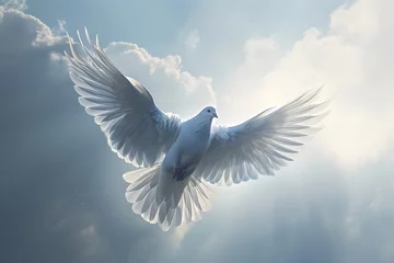 Fotobehang White dove as a symbol of peace flying against the backdrop of fire and explosions.A white dove with wings wide open in the blue sky air with clouds and sunbeams. © MdArif