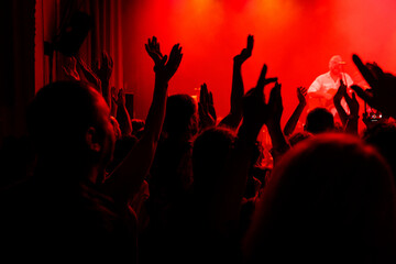 Excited Crowd at Night Music Festival